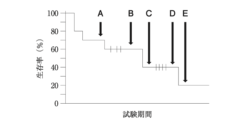 解説画像